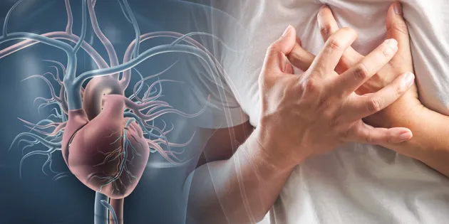 jantung koroner